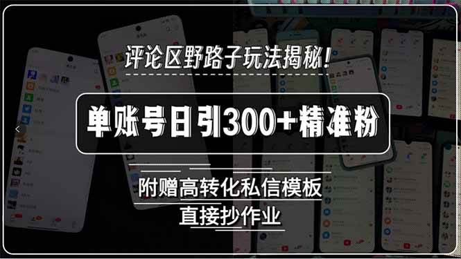 （15466期）评论区野路子玩法揭秘！单账号日引300+精准粉，附赠高转化私信模板，直…-优优云网创