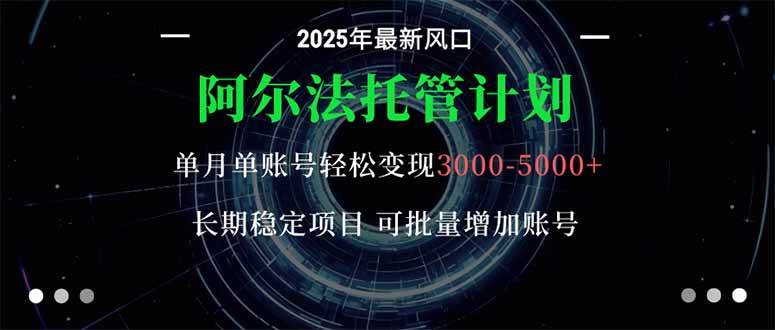 （16360期）阿尔法托管计划 单账号月入3000-5000，长期稳定项目，新手小白轻松上手。-优优云网创