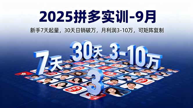 (16008期)2025拼多多实训-9月:新手7天起量,30天日销破万,月利润3-10万,可矩阵复制-优优云网创