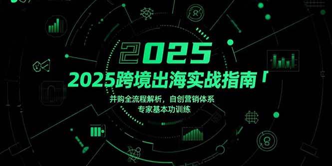 （15503期）2025跨境出海实战指南，并购全流程解析，自创营销体系，专家基本功训练-优优云网创