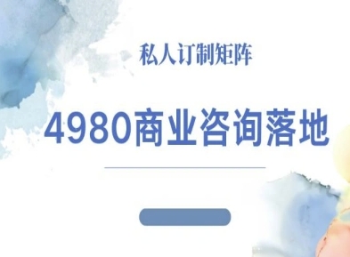 4980商业咨询师落地课程-ip运营高客单教程-优优云网创