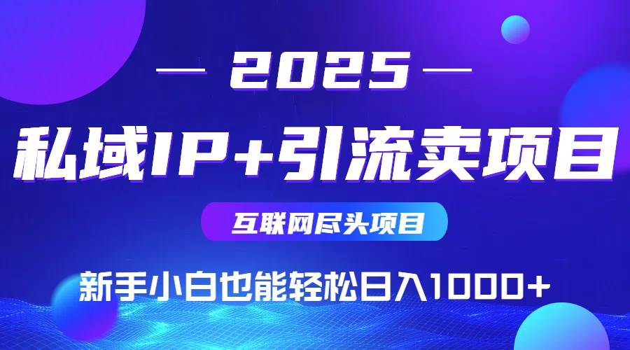 (15531期)2025网创尽头项目,私域IP+引流,新手小白也能在家日入1000+-优优云网创