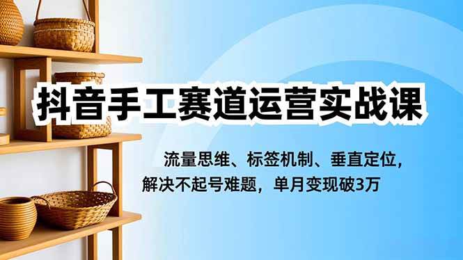 (16667期)抖音手工赛道运营实战课,流量思维、标签机制、垂直定位,解决不起号难题,单月变现破3万-优优云网创