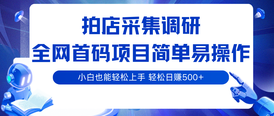 拍店采集调研,全网首码项目,简单易操作, 小白也能轻松上手,轻松日赚500+-优优云网创