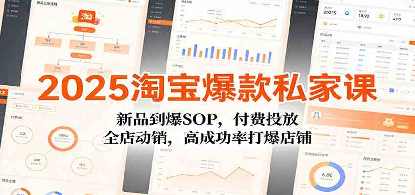 2025淘宝爆款私家课：新品到爆SOP，付费投放，全店动销，高成功率打爆店铺-优优云网创