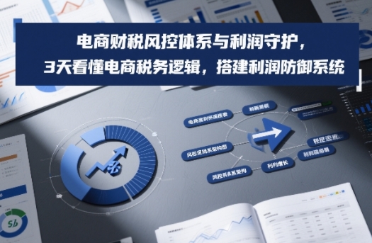 电商财税风控体系与利润守护，3天看懂电商税务逻辑，搭建利润防御系统-优优云网创