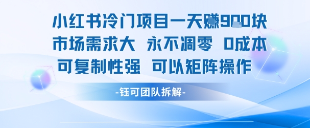 小红书冷门项目一天收益9张，市场需求大，0成本，可复制性强可以矩阵操作-优优云网创