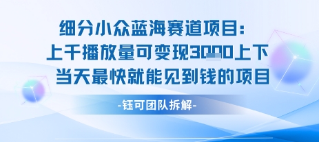 小众蓝海赛道项目：当天变现1k+适合新手操作 +适合长期玩-优优云网创