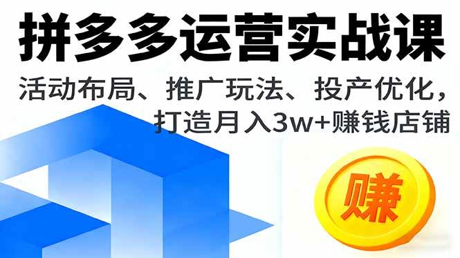 (16135期)拼多多运营实战课,活动布局、推广玩法、投产优化,打造月入3w+赚钱店铺-优优云网创