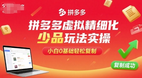 拼多多虚拟精细化少品玩法实操，小白0基础轻松复制-优优云网创