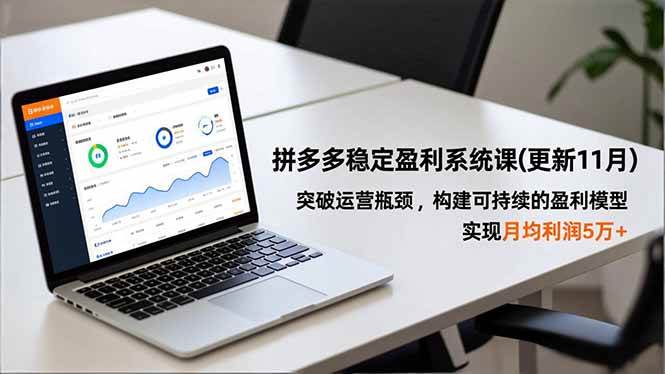 (16641期)拼多多稳定盈利系统课(更新11月),突破运营瓶颈,构建可持续的盈利模型,实现月均利润5万+-优优云网创