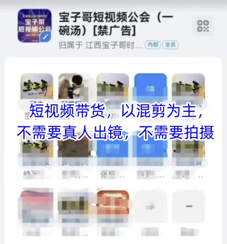 宝子哥头部团队短视频带货，以混剪为主，不需要真人出镜，不需要拍摄【更新8月】-优优云网创
