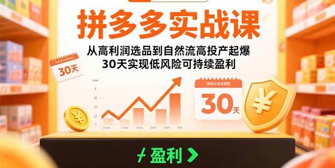 (15586期)拼多多实战课:从高利润选品到自然流高投产起爆 30天实现低风险可持续盈利-优优云网创