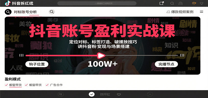 抖音账号盈利实战课,定位对标、标签打造、破播放技巧,讲涨粉变现与场景搭建-优优云网创