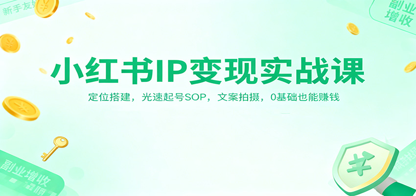 小红书IP变现实战课：定位搭建，光速起号SOP，文案拍摄，0基础也能赚钱-优优云网创