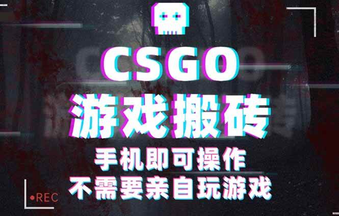 （16090期）CSGO游戏挂机捡漏，单日扫货500+，年底小高峰上车可吃肉，手机即可操作…-优优云网创