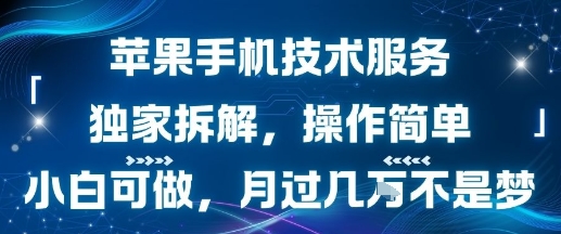 苹果手机技术服务，独家拆解，操作简单，小白可做，月过1W不是梦-优优云网创