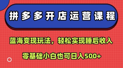 拼多多开店运营课程：蓝海变现玩法，轻松实现睡后收入，零基础小白也可日入5张-优优云网创