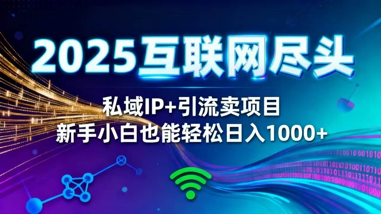 （16485期）2025网创尽头王炸项目！私域 IP + 精准引流，新手小白在家躺赚日入 1000+-优优云网创
