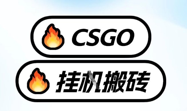 真全网独家CSGO挂G，最新玩法,单日捡漏1K+，不用电脑，不用打游戏【揭秘】-优优云网创