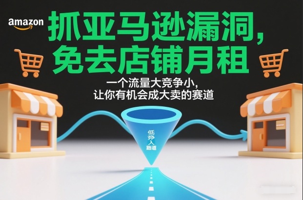 抓亚马逊漏洞，免去店铺月租，一个流量大竞争小，让你有机会成大卖的赛道-优优云网创