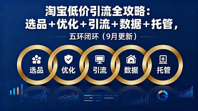 （16009期）淘宝低价引流全攻略：选品＋优化＋引流＋数据＋托管，五环闭环（9月更新）-优优云网创