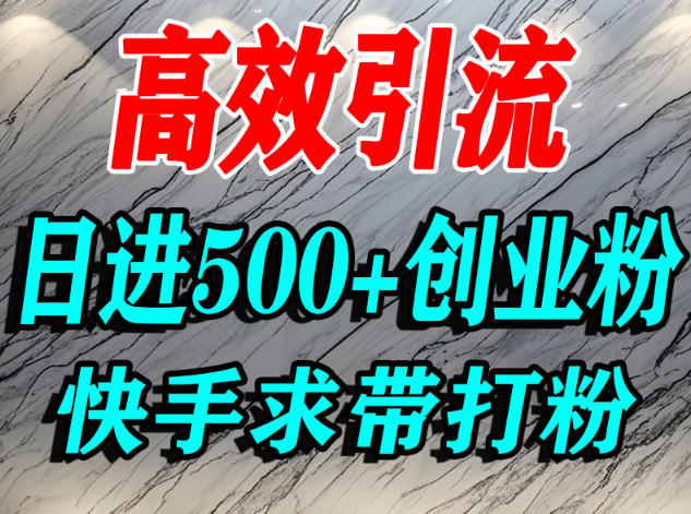 怎么打创业粉?快手求带视角精准引流创业粉,宝妈、学生群体日进500+精准流量-优优云网创