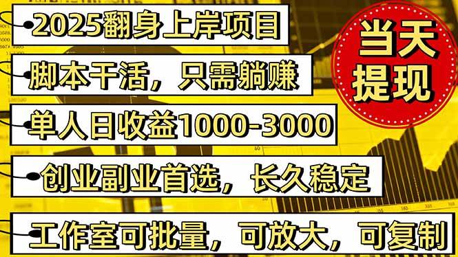 (16501期)2025翻身上岸项目脚本干活,内部客户经理内部开号,单人日收益1000-300…-优优云网创