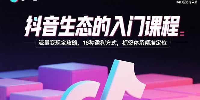 (15856期)抖音生态的入门课程:流量变现全攻略,16种盈利方式,标签体系精准定位-优优云网创