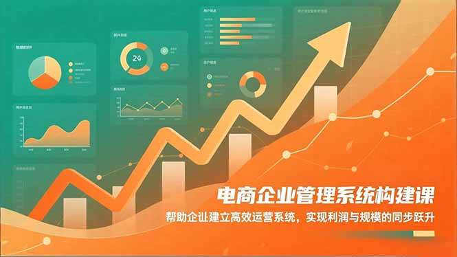 (16643期)电商企业管理系统构建课:帮助企业建立高效运营系统,实现利润与规模的同步跃升-优优云网创
