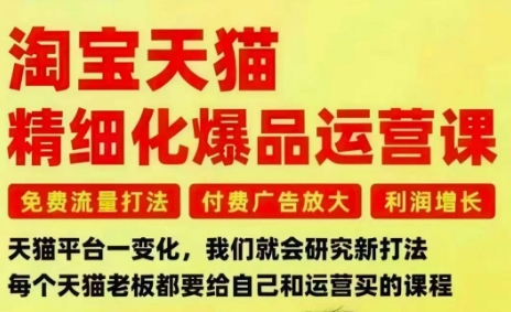 淘宝天猫精细化爆品运营课,免费流量打法-付费广告放大-利润增长-三大核心痛点,一次全部解决-优优云网创
