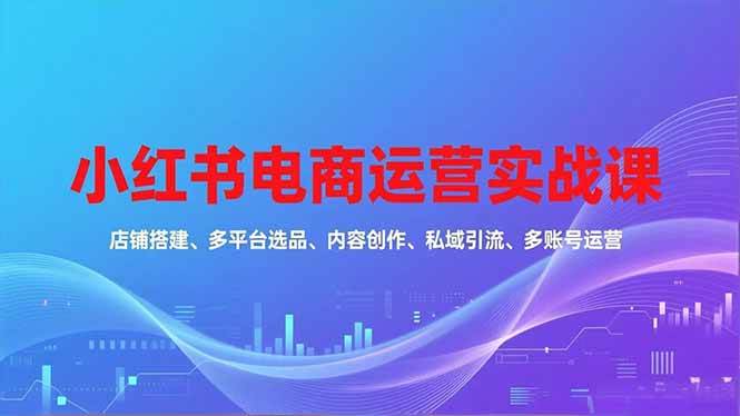 (16695期)小红书电商运营实战课,店铺搭建、多平台选品、内容创作、私域引流、多账号运营等玩法-优优云网创