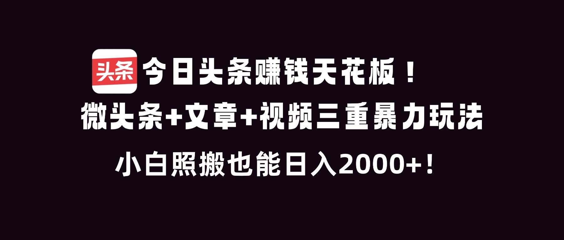（16888期）今日头条赚钱天花板！微头条+文章+视频三重暴利玩法，小白照搬也能日人2000+-优优云网创