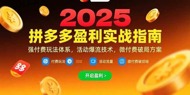 （15357期）拼多多盈利实战指南，强付费玩法，活动爆流技术，微付费破局方案(更新7月)-优优云网创