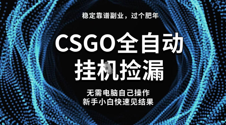 【稳定副业】全球最热门游戏CSGO全自动捡漏，最新玩法，新手小白日入5张+【揭秘】-优优云网创